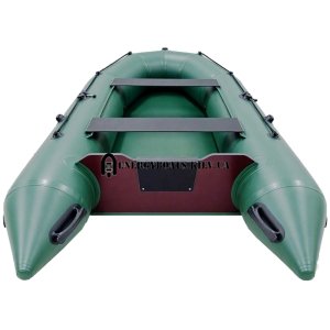 Надувная моторная лодка Energy B-330